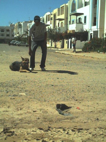 voila tjr avec mon ptt chien